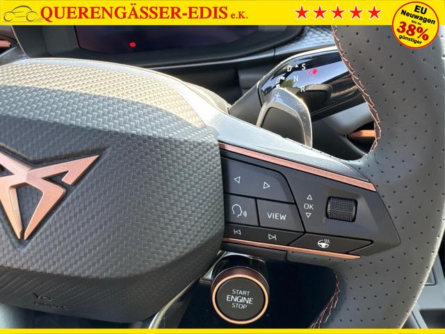 Cupra / Terramar / / / / 