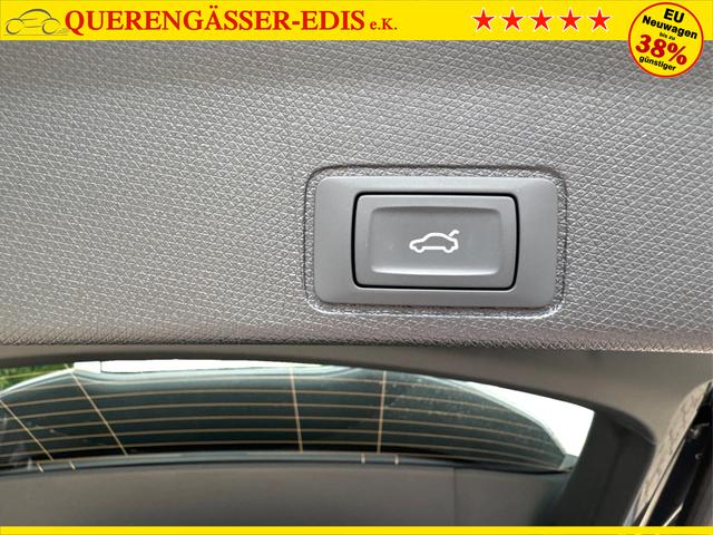 Cupra / Terramar / / / / 