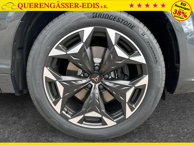 Cupra / Terramar / / / / 