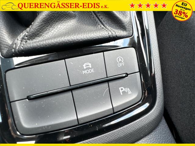 Skoda / Kamiq / Grau / / / DSG+ACC+SHZ+RFK+PDC+KESSY+SUNSET