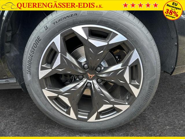 Cupra / Terramar / / / / 