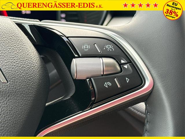 Skoda / Fabia / / / / ACC+SHZ+KAMERA+PDC+LED