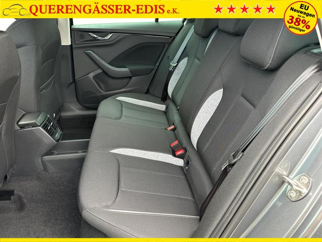 Skoda / Kamiq / Grau / / / ACC+EL.HECKKL.+SHZ+LED