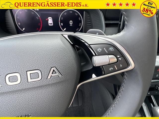 Skoda / Kamiq / Grau / / / ACC+EL.HECKKL.+SHZ+LED