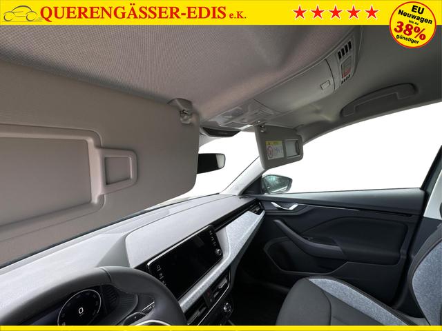 Skoda / Kamiq / Grau / / / ACC+EL.HECKKL.+SHZ+LED