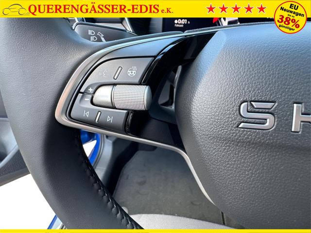Skoda / Fabia / / / / ACC+SHZ+KAMERA+PDC+LED