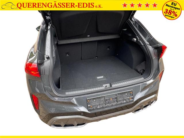 Cupra / Terramar / Grau / / / 4Drive SENNHEISER+MATRIX+MEMORY+KAM+LED+ACC+EL.HECKKL.