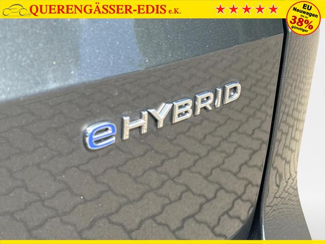 Volkswagen / Caddy Maxi / Grau / / / F&Ouml;RDERF&Auml;HIG+KAMERA+ACC+SHZ+KLIMA+APP-CONNECT+GJR+PDC