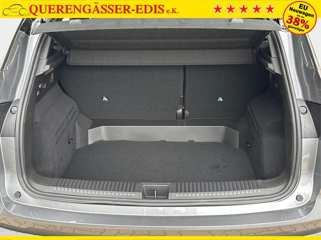 Renault / Austral / Grau / / / NAVI+LED+KAMERA+elektr.HECKKL.+19LM