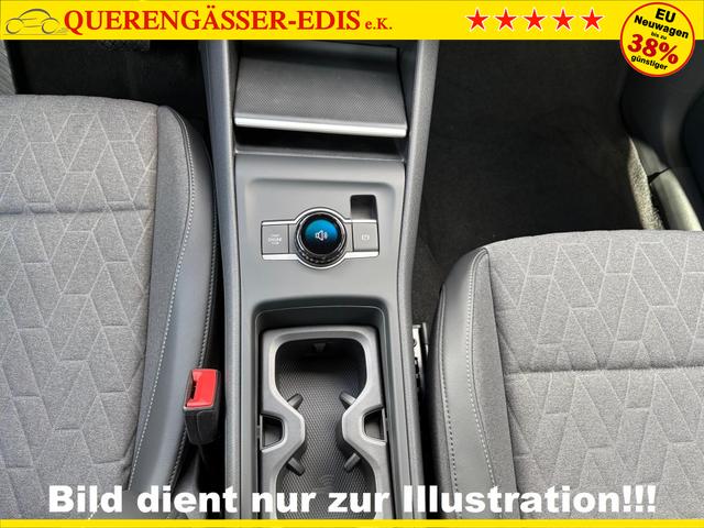 Volkswagen Tiguan 1.5 eTSI DSG 48V Limited AHK WInter 18" 