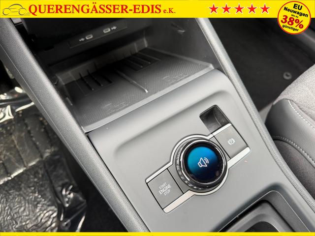 Volkswagen Tiguan 1.5 eTSI 48V DSG Limited Navi 360 Winter AHK 