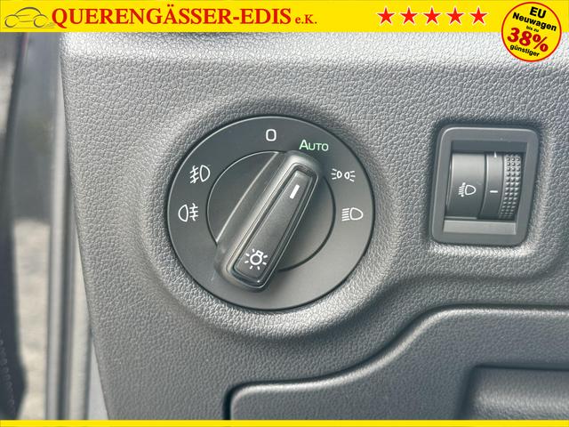 Skoda Fabia Monte Carlo kaufen