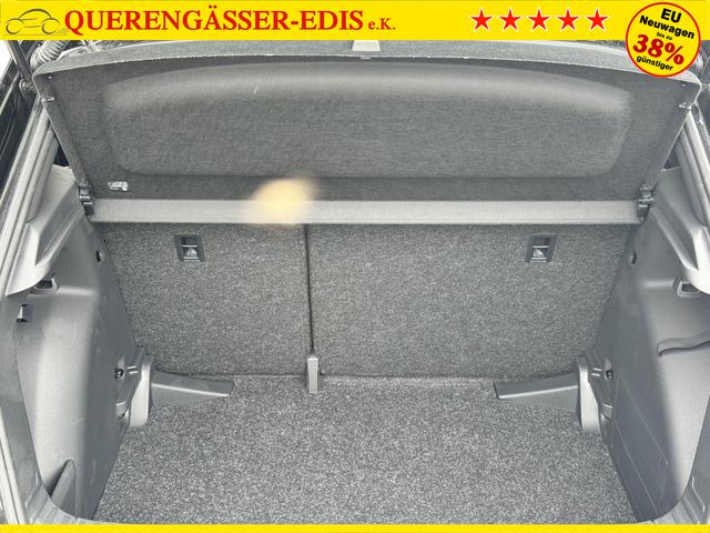 Skoda Fabia Monte Carlo kaufen