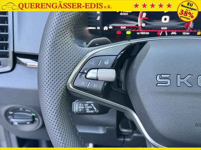 Reimport Skoda Karoq Leasing - Fianzierung