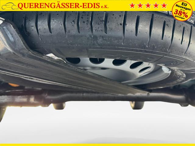 Ford Grand Tourneo Titanium kaufen