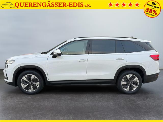 Skoda Kodiaq 2.0 TSI 4x4 kaufen