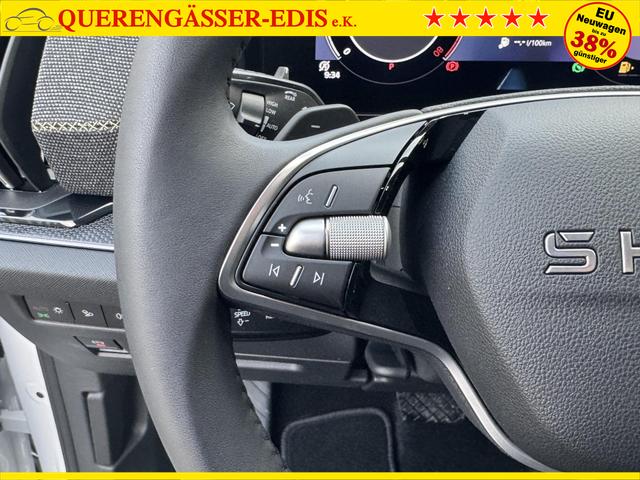 Skoda Kodiaq 2.0 TSI 4x4 kaufen