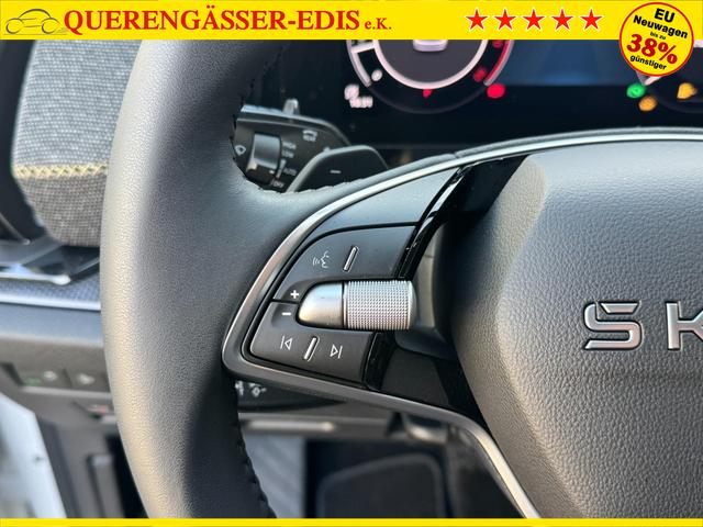 Skoda Kodiaq 2.0 TSI 4x4 7 sitzer kaufen