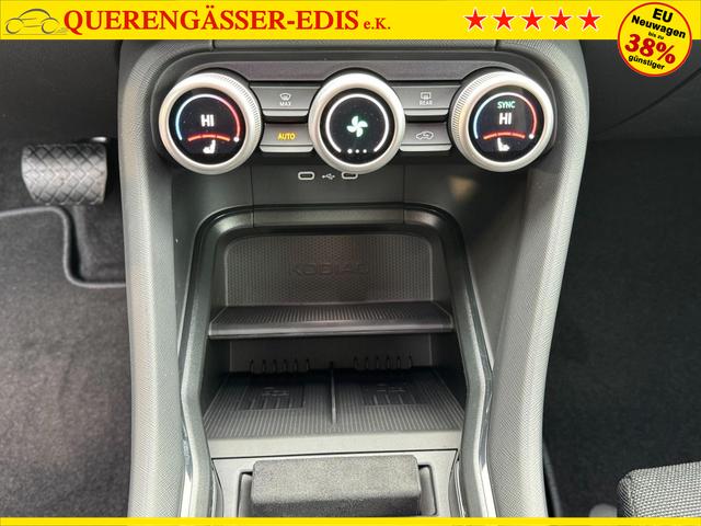 Skoda Kodiaq Grau 2.0 TSI 4x4 kaufen 