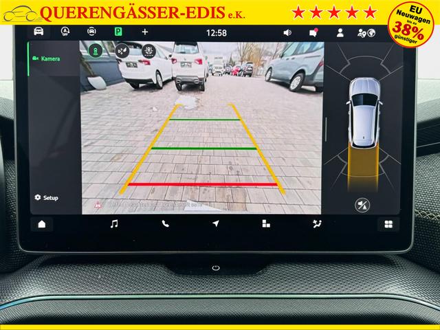 Skoda Kodiaq Grau 2.0 TSI 4x4 kaufen 