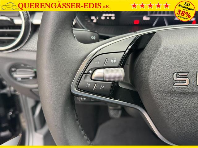 Reimport Skoda Fabia 1,0 TSI Extra Plus 2 ZoKlima ACC Navi 2x Einparkhilfe Kessy