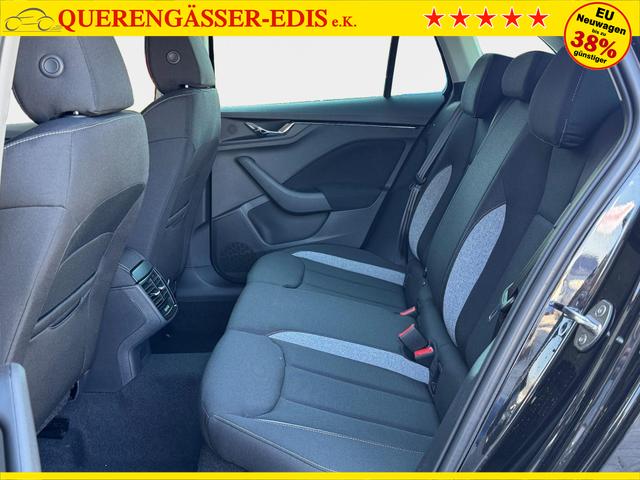 Reimport Skoda Scala DSG kaufen