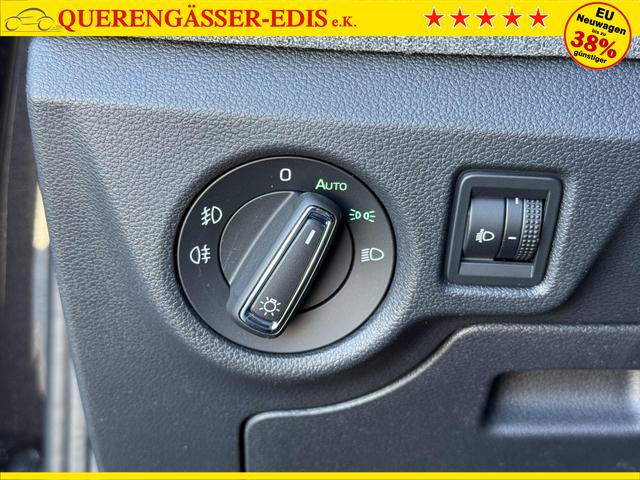 Reimport Skoda Scala DSG kaufen