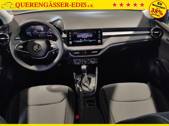 Skoda / Fabia / Grau / / / , Beispielbilder, ggf. teilweise mit Sonderausstattung