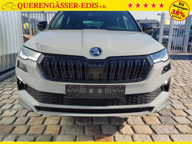 Skoda / Karoq / Grau / / / , Beispielbilder, ggf. teilweise mit Sonderausstattung