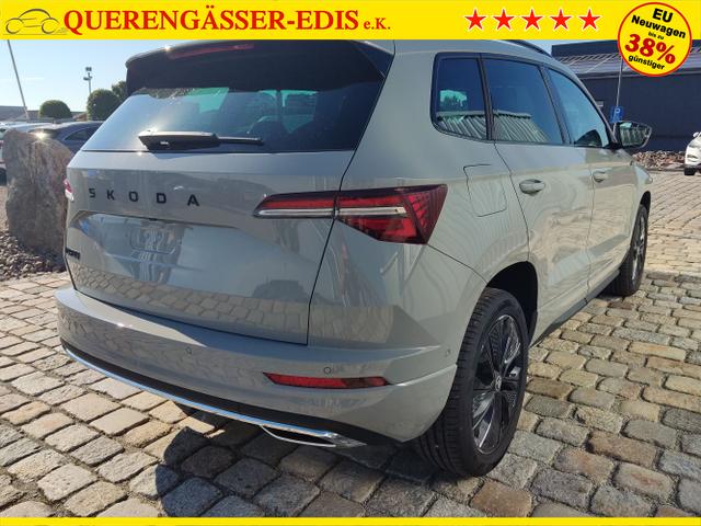 Skoda / Karoq / Grau / / / , Beispielbilder, ggf. teilweise mit Sonderausstattung
