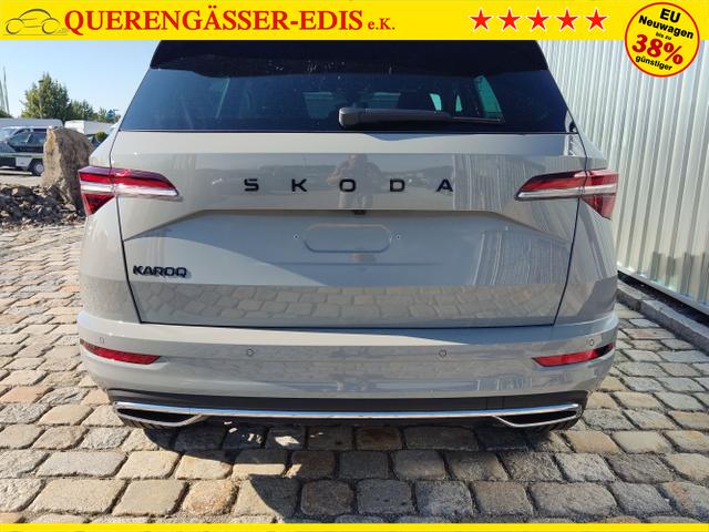 Skoda / Karoq / Grau / / / , Beispielbilder, ggf. teilweise mit Sonderausstattung