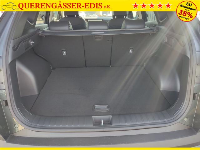 Hyundai / TUCSON / Gr&uuml;n / / / , Beispielbilder, ggf. teilweise mit Sonderausstattung