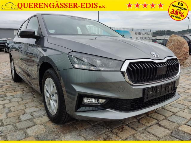 Skoda / Fabia / Grau / / / , Beispielbilder, ggf. teilweise mit Sonderausstattung