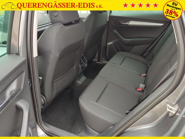 Skoda / Karoq / Grau / / / , Beispielbilder, ggf. teilweise mit Sonderausstattung