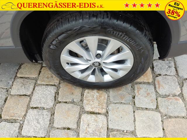 Skoda / Karoq / Grau / / / , Beispielbilder, ggf. teilweise mit Sonderausstattung