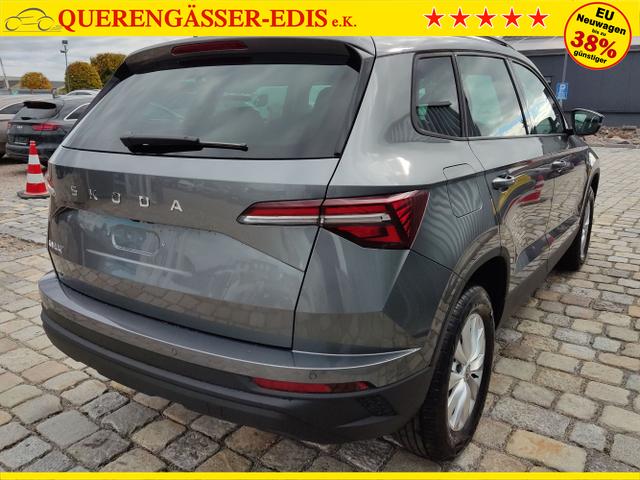 Skoda / Karoq / Grau / / / , Beispielbilder, ggf. teilweise mit Sonderausstattung