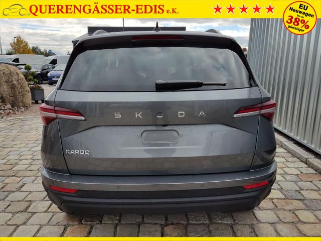 Skoda / Karoq / Grau / / / , Beispielbilder, ggf. teilweise mit Sonderausstattung