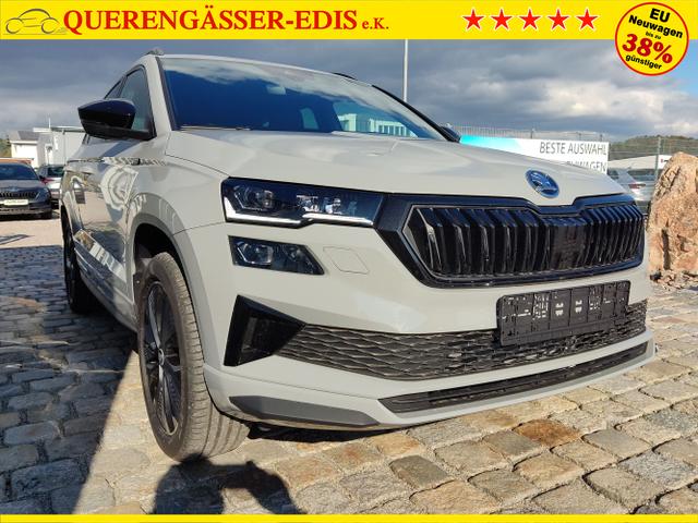 Skoda / Karoq / Grau / / / , Beispielbilder, ggf. teilweise mit Sonderausstattung