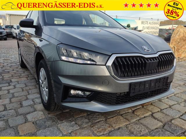 Skoda / Fabia / Grau / / / , Beispielbilder, ggf. teilweise mit Sonderausstattung