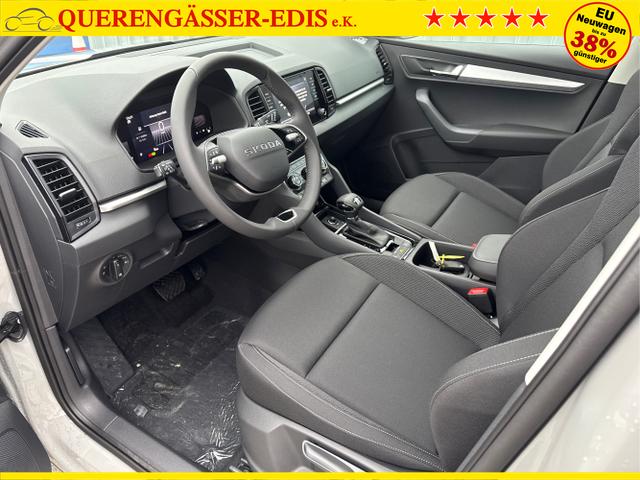 Skoda / Karoq / Grau / / / , Beispielbilder, ggf. teilweise mit Sonderausstattung