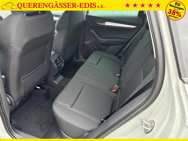 Skoda / Karoq / Grau / / / , Beispielbilder, ggf. teilweise mit Sonderausstattung