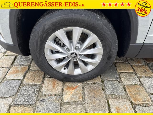 Skoda / Karoq / Grau / / / , Beispielbilder, ggf. teilweise mit Sonderausstattung