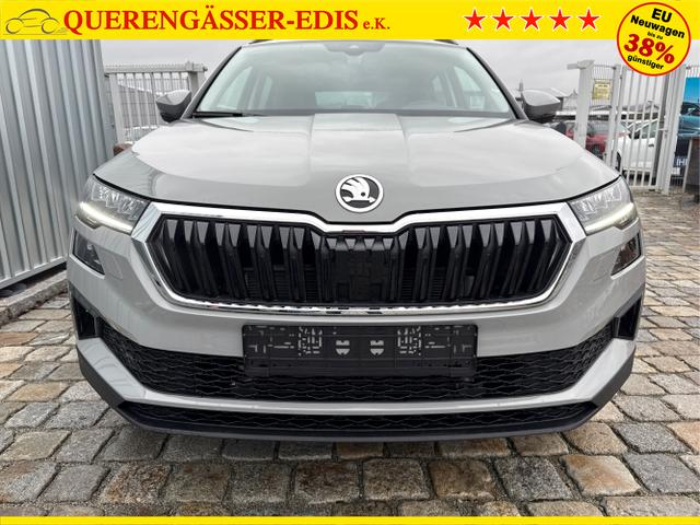 Skoda / Karoq / Grau / / / , Beispielbilder, ggf. teilweise mit Sonderausstattung