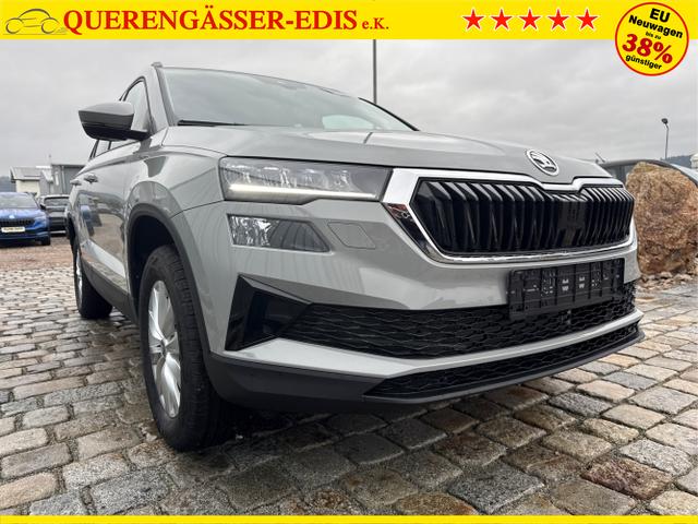 Skoda / Karoq / Grau / / / , Beispielbilder, ggf. teilweise mit Sonderausstattung