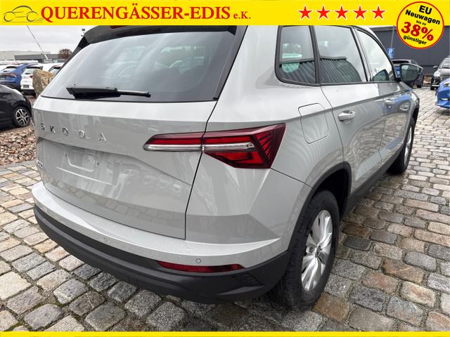 Skoda / Karoq / Grau / / / , Beispielbilder, ggf. teilweise mit Sonderausstattung