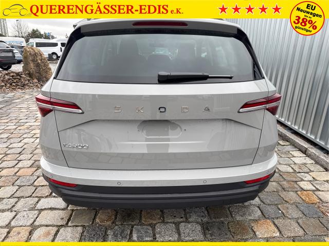 Skoda / Karoq / Grau / / / , Beispielbilder, ggf. teilweise mit Sonderausstattung