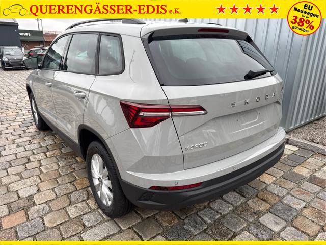 Skoda / Karoq / Grau / / / , Beispielbilder, ggf. teilweise mit Sonderausstattung