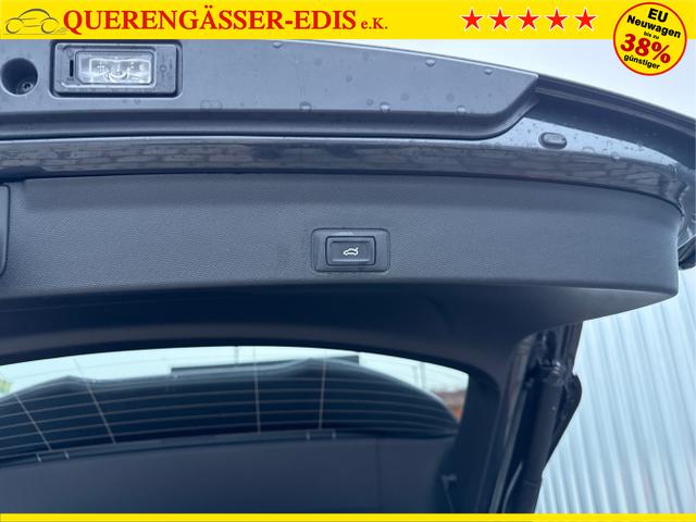 Cupra / Terramar / Grau / / / 