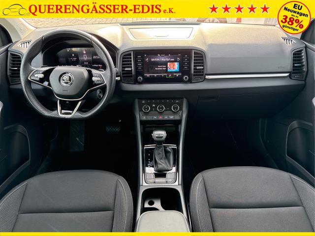 Skoda / Karoq / Blau / / / 