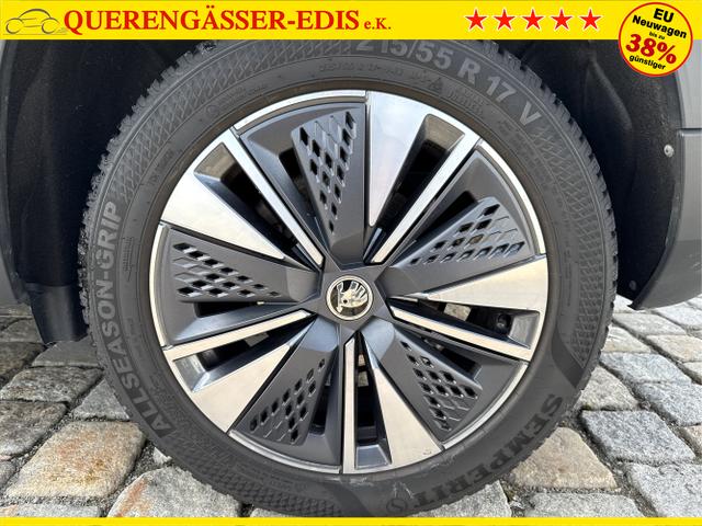 Skoda / Karoq / Blau / / / 